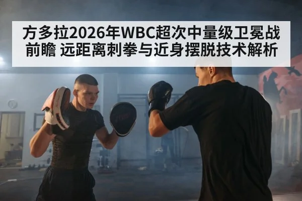 boxing jab training(j9 game)